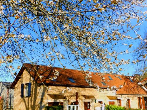 Cendrieux Apartment | jacquada