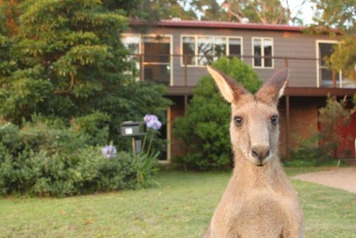 Erowal Bay House | Jan's Retreat by Experience Jervis Bay