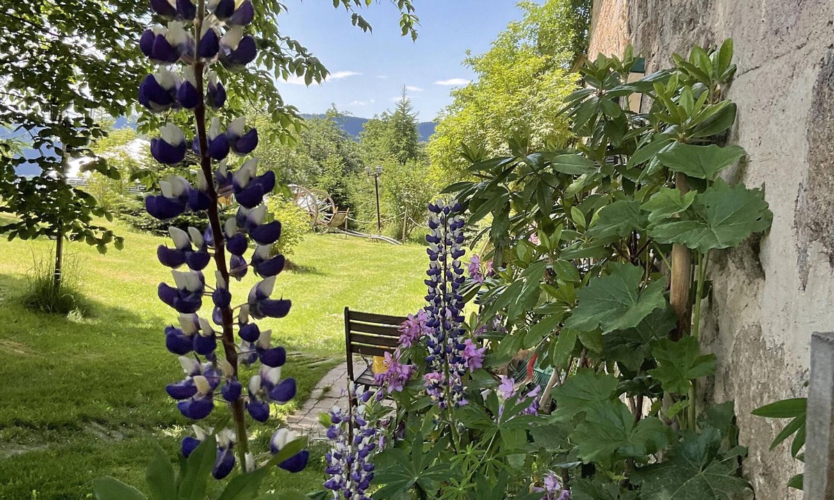 Saint-Antheme House | Jasserie Les Airelles