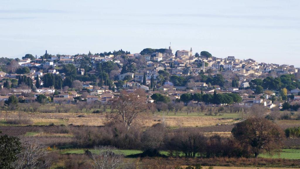Gallargues-le-Montueux House | Jasses de Camargue