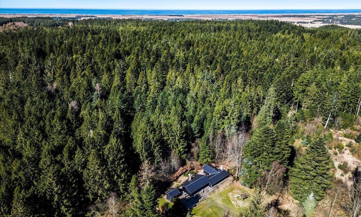 Tranum House | JB238 Brovst - Baunehøjvej 37