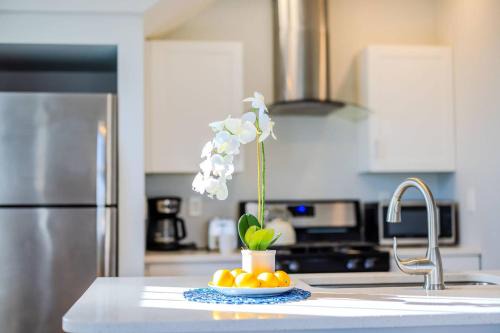 Federal Hill Apartment | Jennifer's Getaway Stunning Views & Private Deck