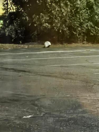 Berlin Ski Chalet | Jericho Brook Cottage