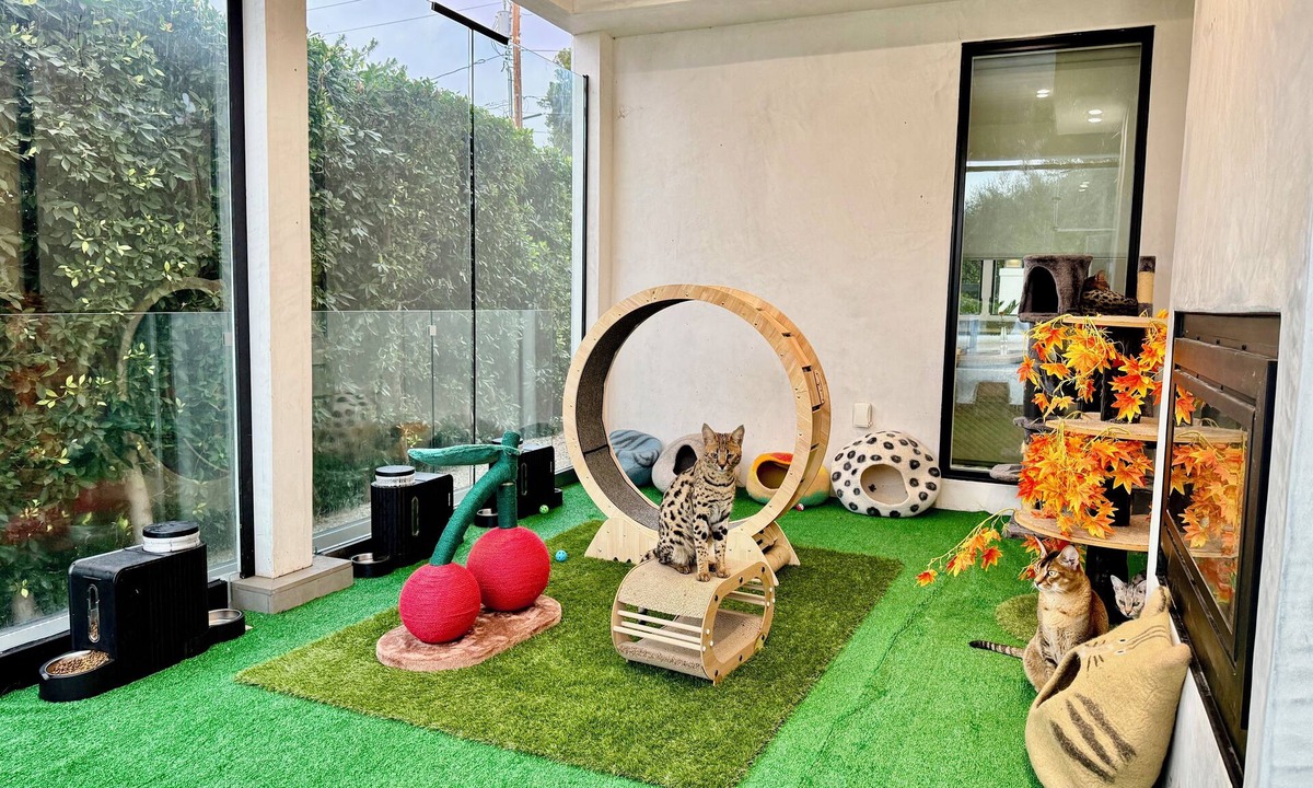 Mount Wilson House | Jie's Choice - Enchanted Garden Hideout