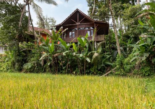 Payangan Cabin | JoeWell Cabin