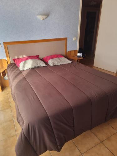 Arles-sur-Tech Apartment | Joli appartement avec jardin à 5 min des Thermes