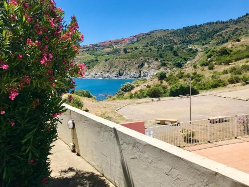 Cerbere Apartment | Jolie vue mer T2 Clim et Wifi