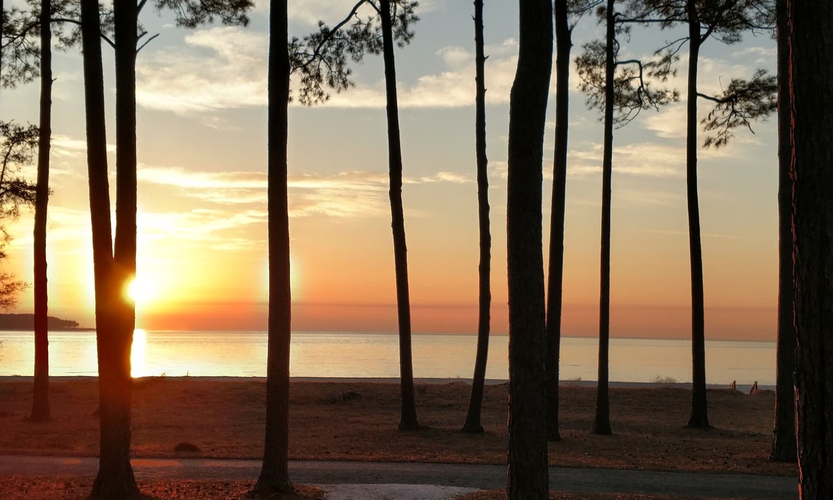 Melrose on the Beach Cottage | JonBie THE Maison OCEANFRONT with Golf cart