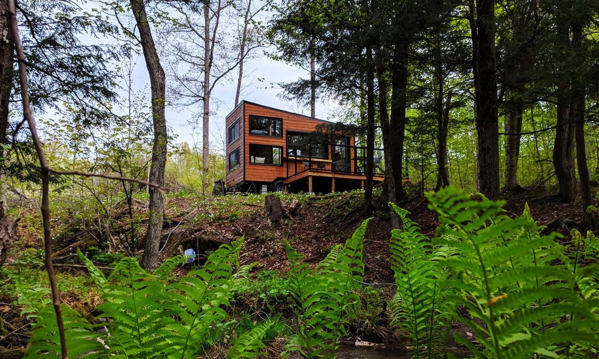 Mississippi Mills Cabin | Joni Cabin | Intimate Wilderness Retreat