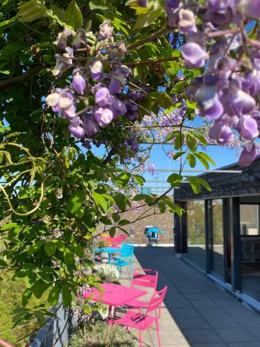 Langstrasse House | Josephine's Guesthouse - WOMEN ONLY with rooftop and community area