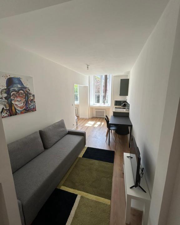 Aurillac Apartment | Joyau historique 101