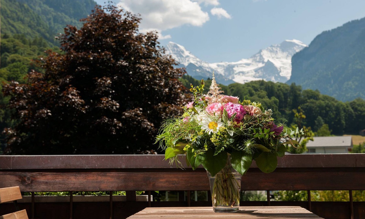 Wilderswil Hotel | Jungfrau Hotel Annex Alpine Inn