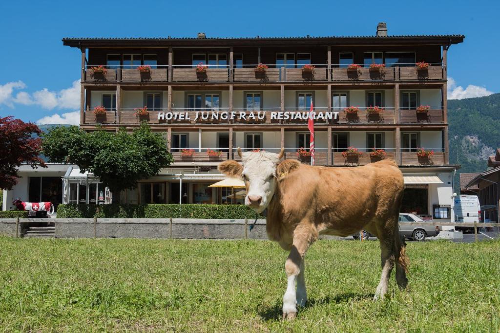 Wilderswil Hotel | Jungfrau Hotel