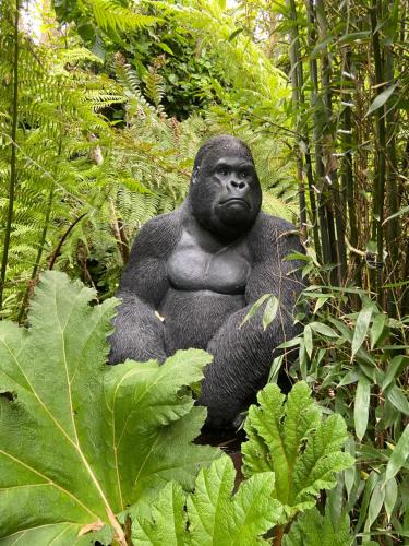 Martin Villa | Jungle Cabin