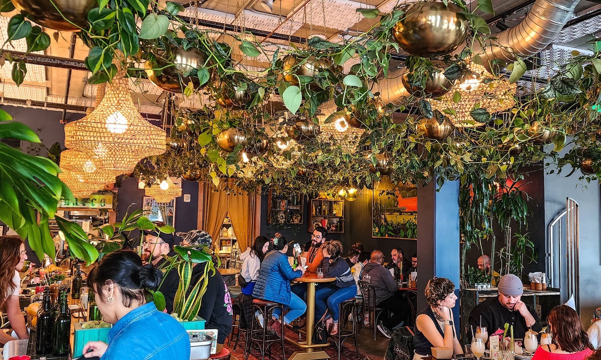 Buckman Neighborhood Hotel | Jupiter NEXT