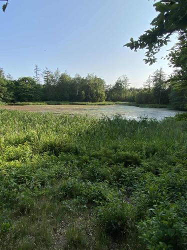 Aars House | Købmandsgården i Blære