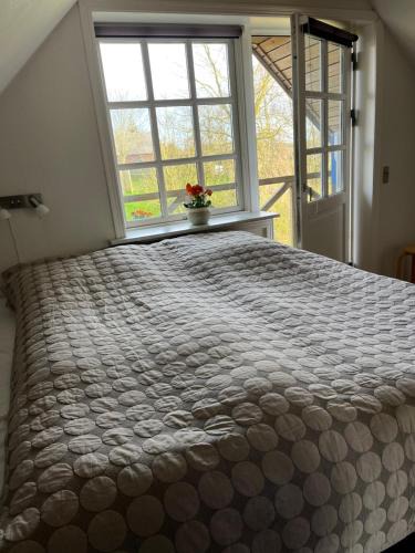 Thisted House | Kallerup Hgård