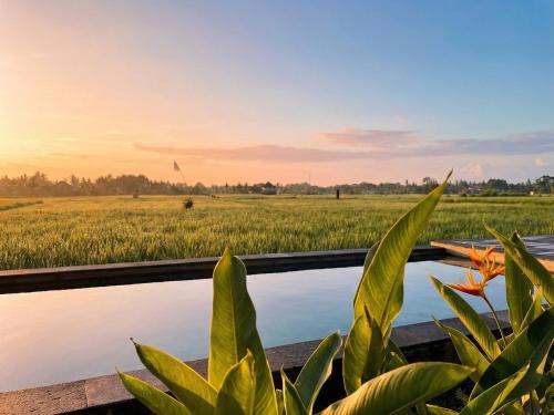 Tabanan Hotel | Kalyana Gangga