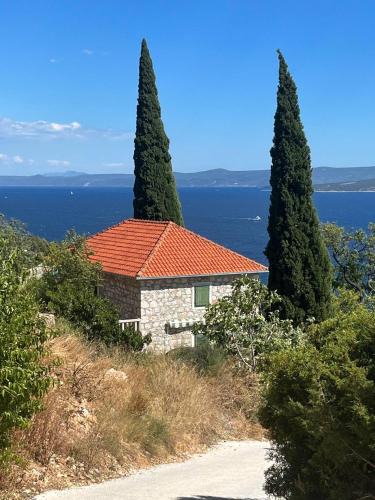 Murvica Apartment | Kameni cvijet