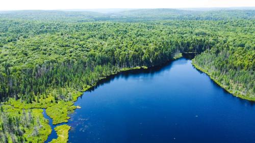 Madawaska Cabin | Karaoke Lodge in Madawaska, Big Group-Friendly