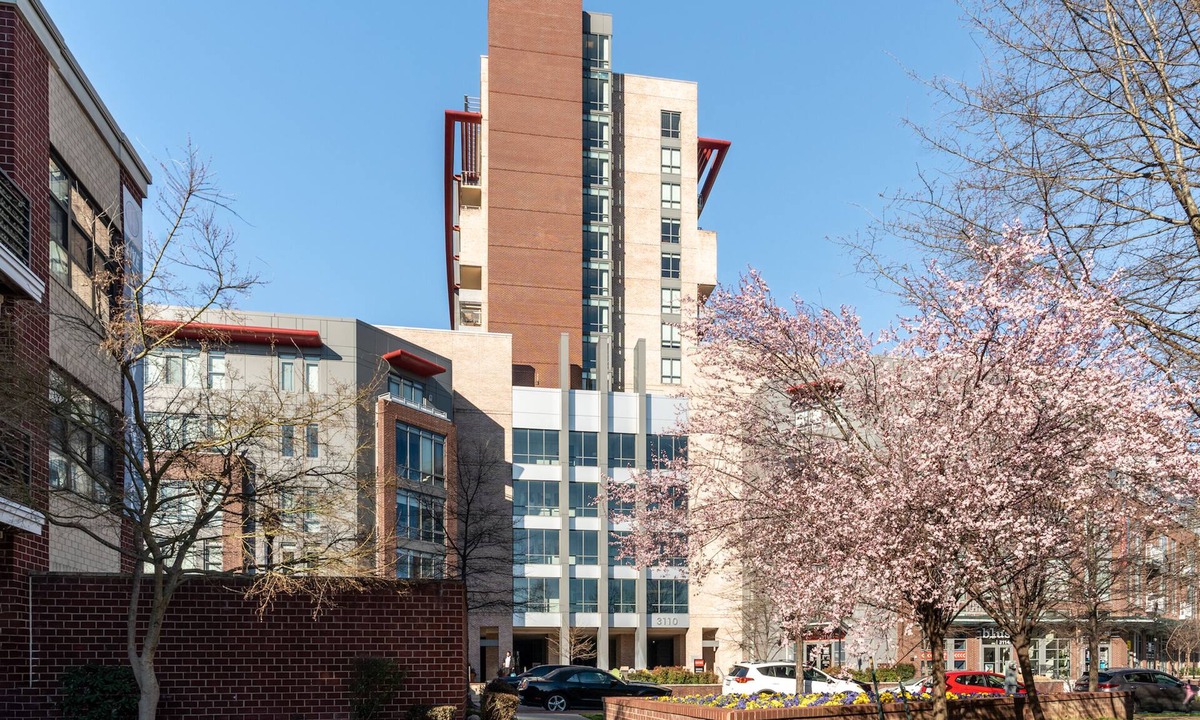 Del Ray Apartment | Kasa Alexandria Washington