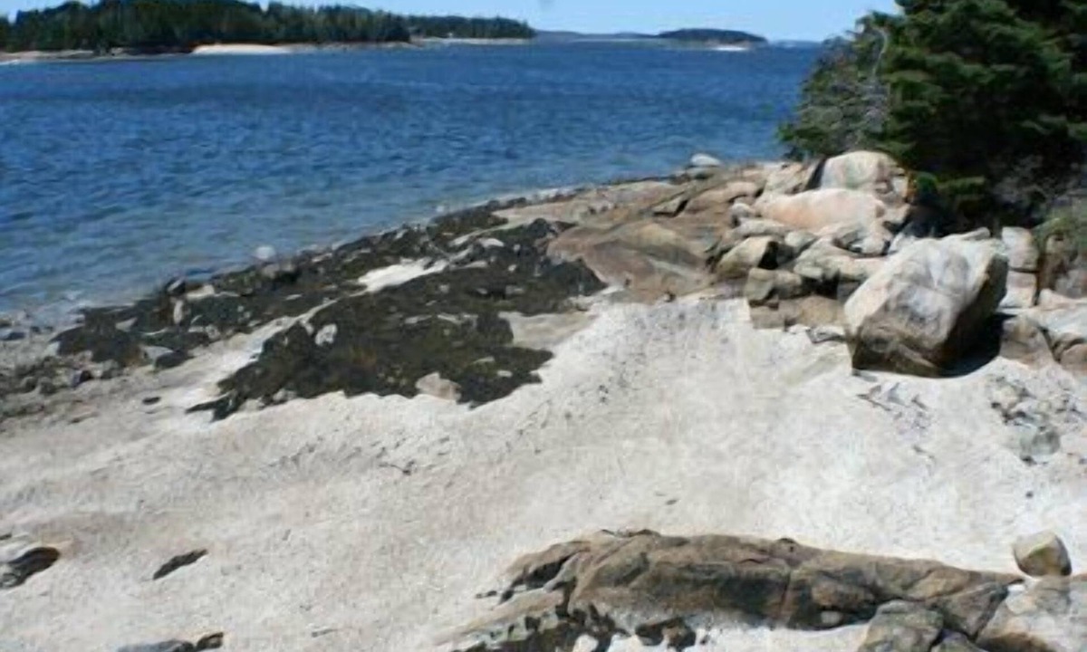 Brooklin House | Kelly Point - Built in harmony with nature