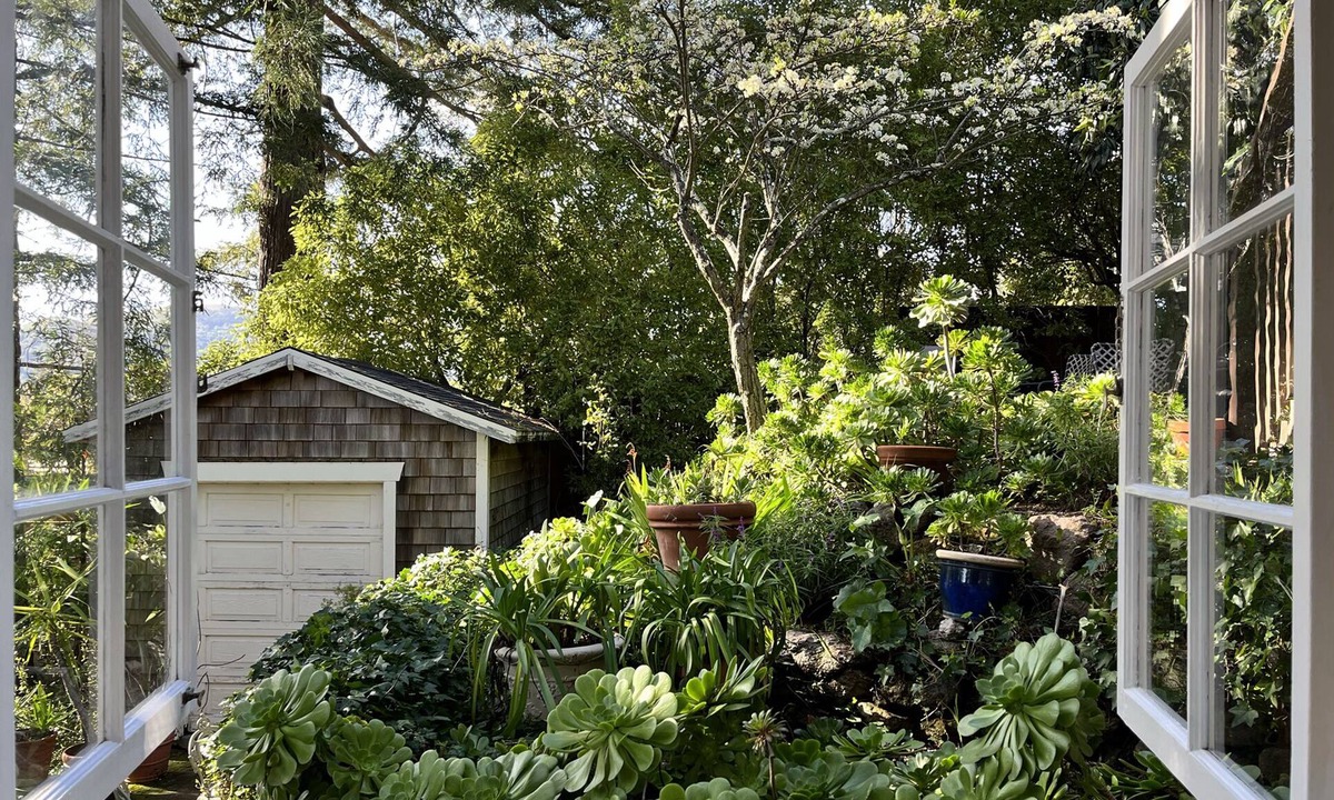 Greenbrae Apartment | Kentfield Haven - Adorable and Cozy Studio