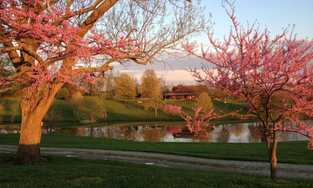 Taylorsville Cabin | Kentucky Log Cabin - stunning 50 acres, Bourbon Trail, KY Derby, and more!