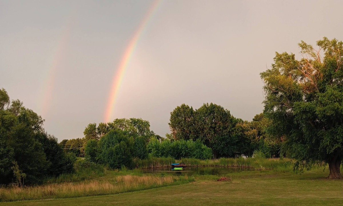 Olathe Other | Kid's Paradise