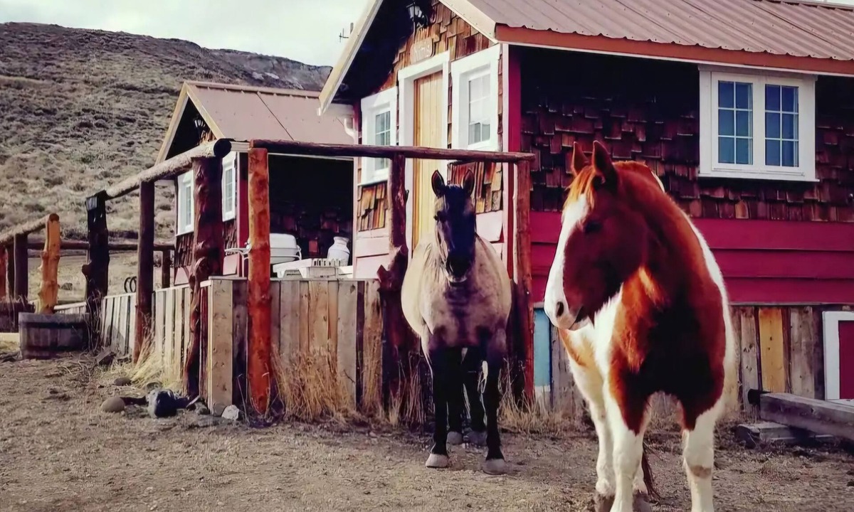 Cody Cabin | Kims Cozy Rustic Cabin 5 min. from Cody