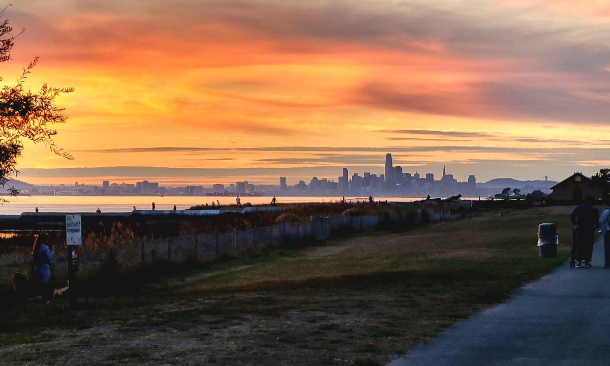 Alameda Cottage | King Bed/Fenced yard/Pets welcome