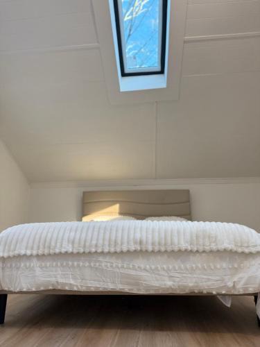 Hampden House | King Cabin