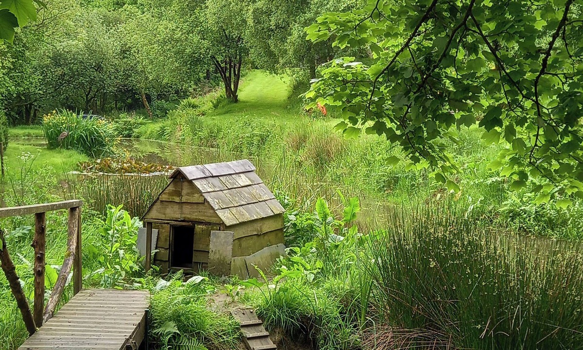 Bradworthy Cottage | Kingfisher Cottage