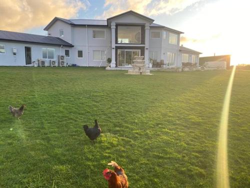 Aokautere Apartment | Kingsdale lounge