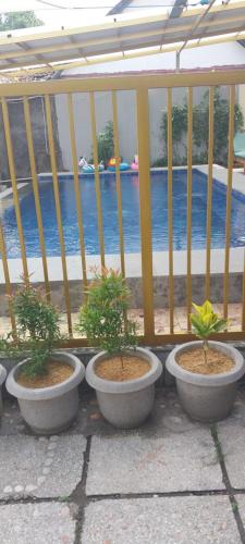 Senggigi Hotel | KJ Inn Homestay Senggigi