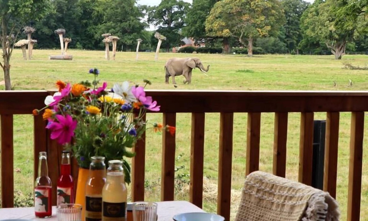 Bandholm Cabin | Knuthenborg Safaripark
