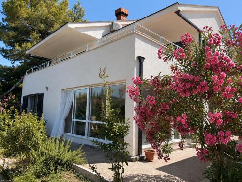 Broce Apartment | Koko's home