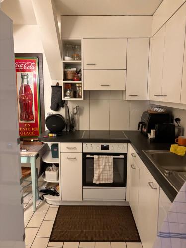Basel City Centre Apartment | Kolaj