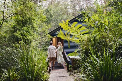 Montville Resort | Kondalilla Eco Resort