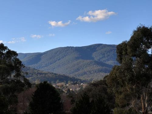 Healesville House | Kookaburra Cottage- views, wineries, sanctuary,