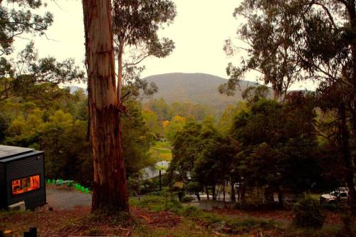 Millgrove House | Kookaburra's Perch