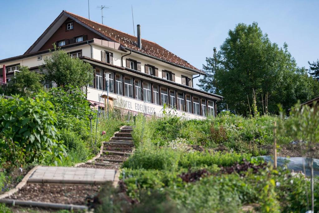 Rigi Kaltbad Hotel | Kräuterhotel Edelweiss
