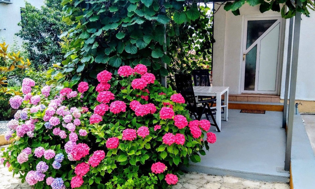 Rovinjsko Selo Apartment | "Krasno" estate with terrace