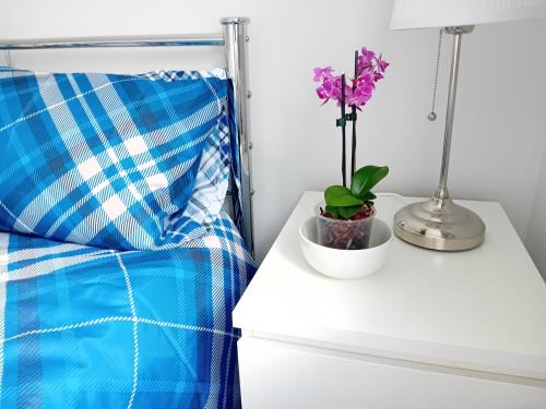 Dunmow House | 'Ks' Yard