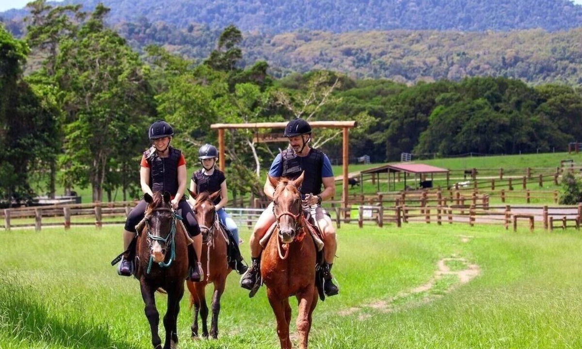 Kuranda House | Kur Cow Farmstay