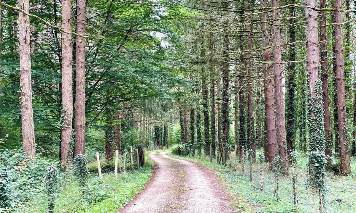 Molineuf House | L'Échappée Boisée - Côté Forêt