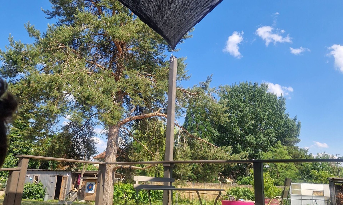 Luneville Bed & Breakfast | L'écolodge de Laéti