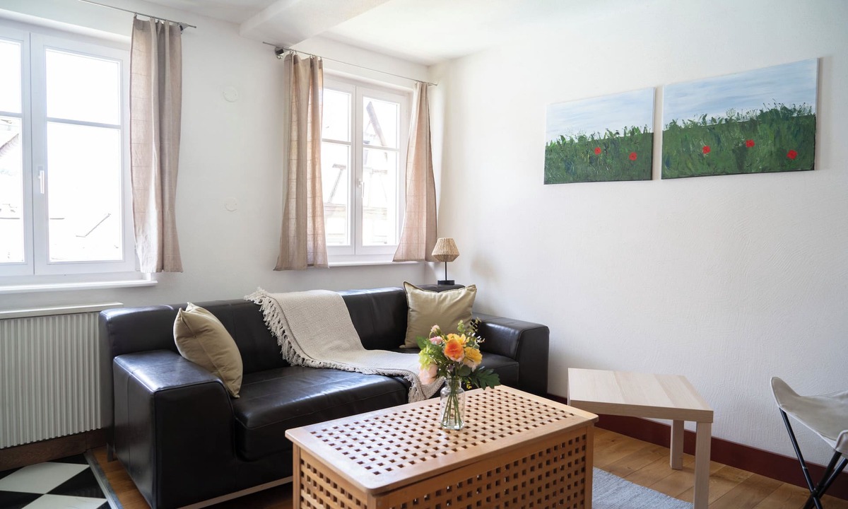 Barr Apartment | l'écrin de Barr- City center