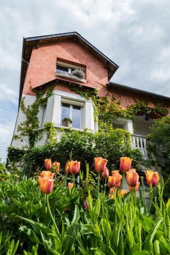 Saint-Satur Bed & Breakfast | l'abri du viaduc