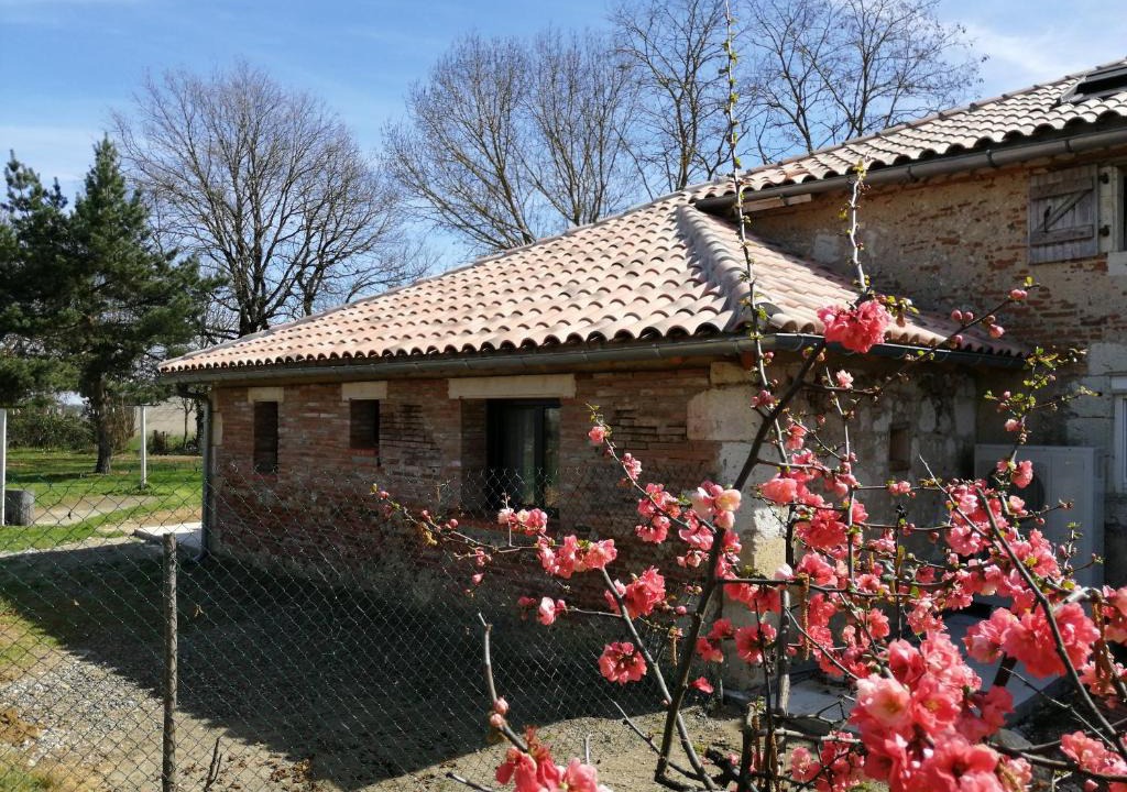 Le Pin House | L' Amandier